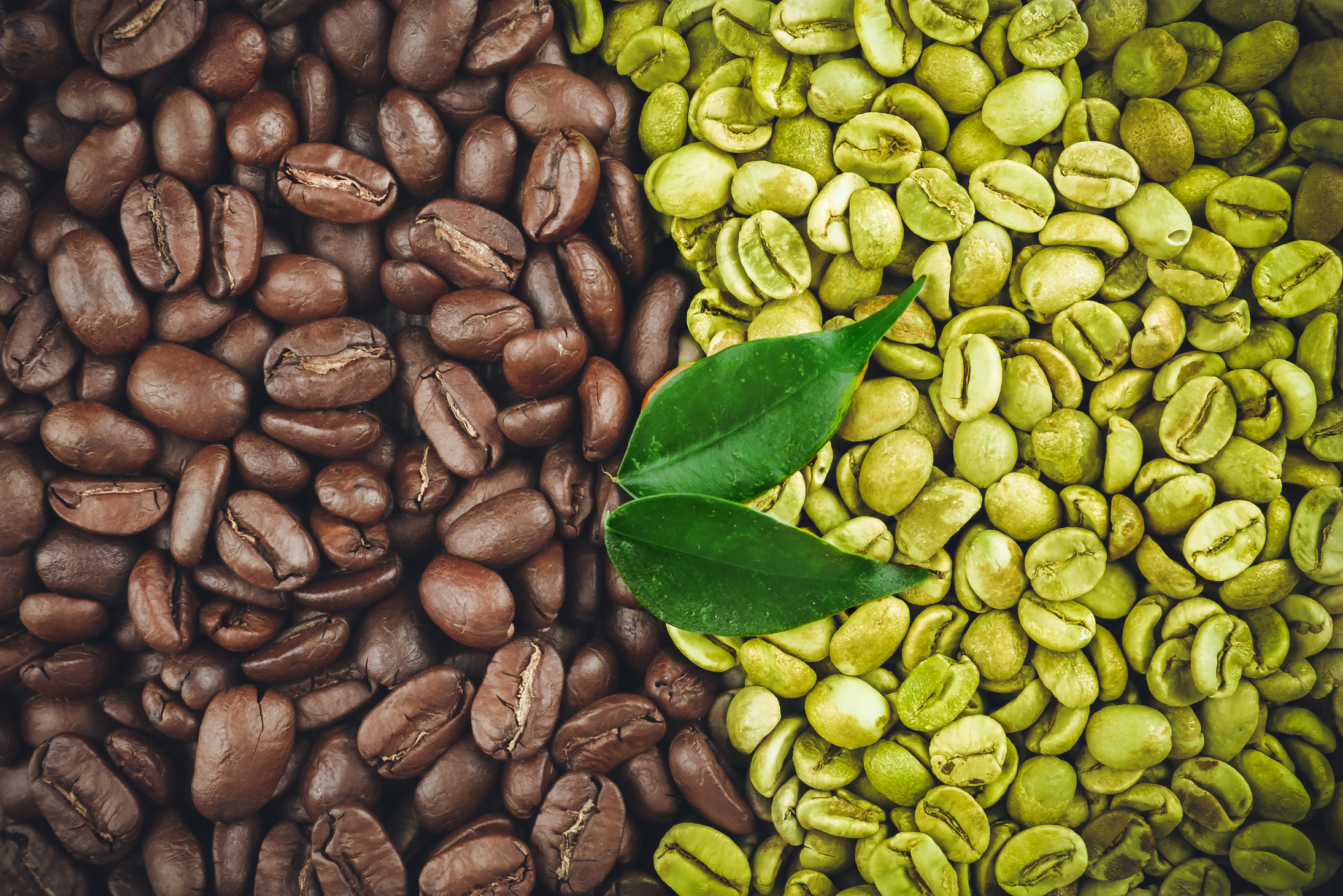 Green and Brown Coffee Beans with Leaves